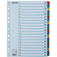 Przekadki kartonowe MYLAR A4 1-20 100163 biae ESSELTE