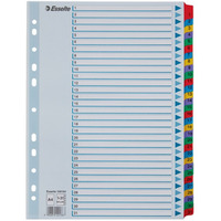 Przekadki kartonowe MYLAR A4 1-31 100164 biae ESSELTE