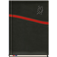 Terminarz Asesor B5 2024 Michalczyk i Prokop T-249K-01