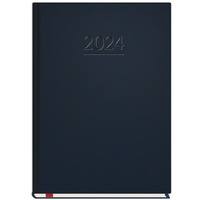 Terminarz Popularny A5 2024 - granat Michalczyk i Prokop T-209V-G