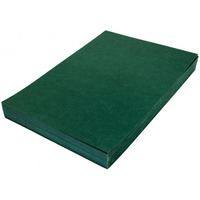 Karton DELTA skropodobny zielony A4 DOTTS 100 szt. okadki do bindowania