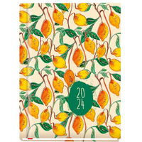 Terminarz OLA A6 2024 Michalczyk i Prokop T-212F-01