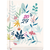 Terminarz OLA A6 2024 Michalczyk i Prokop T-212F-06