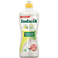 LUDWIK Pyn do mycia naczy 450g Cytryna plus Zielona herbata 28379