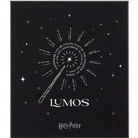 Zestaw MOLESKINE Harry Potter 2024, edycja limitowana