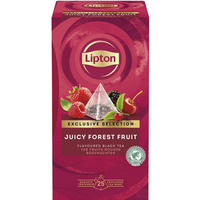 Herbata LIPTON, piramidki, Exclusive Selection, owoce lene, 25 kopert