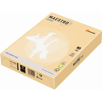 Papier xero MAESTRO COLOR A4 80g CH32 ircha