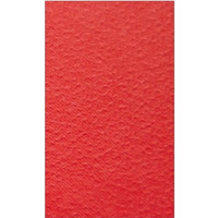 Karton wiz.A4 prki czerwone W62 (20)KRESKA 246g (X)