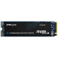 Dysk SSD 1TB M.2 CS1030 M280CS1030-1TB-RB