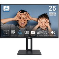 Monitor PRO MP251P 24.5 cala/LED/FHD/Flat/100Hz/Czarny
