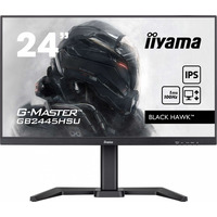 Monitor 23, 8 cala GB2445HSU-B2 IPS, FHD, 100Hz, 1ms, 2xUSB, 300cd