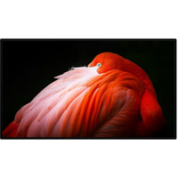 Monitor Pro Display XDR - NANO-TEXTURE GLASS