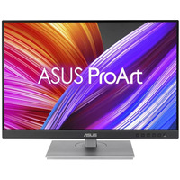 Monitor 24 cale PA248CNV