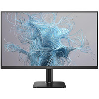 Monitor 24E2N1100LB VA 100Hz HDMI VGA