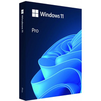 Windows Pro 11 64bit ENG USB Flash Drive Box HAV-00163