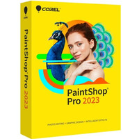 PaintShop Pro 2023 Mini box