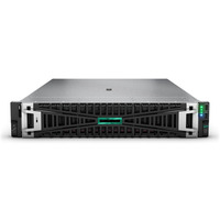 Serwer DL380 G11 4510 64G 8SFF WS25 P77996-425