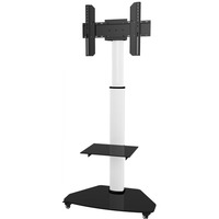 Stojak mobilny do tv 37-70 cali 40kg Pivot
