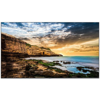 Monitor profesjonalny QE65T 65 cali Byszczcy 16h/7 300(cd/m2) 3840x2160 (UHD) Lite Player (only) 3 lata On-Site (LH65QETELGCXEN)