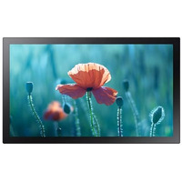 Monitor profesjonalny QB13R-T 13 cali Matowy, Dotykowy 16h/7 250(cd/m2) 1920x1080 (FHD) S6 Player Wi-Fi 3 lata OnSite (LH13QBRTMGCXEN)