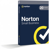 Small Business BOX 250GB PL 1U 20Dvc 1Y 21455053