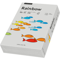Papier xero A4 160g.szary R96 RAINBOW 88042813