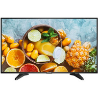 Monitor 43 DS-D5043QE