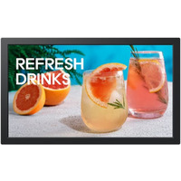 Monitor profesjonalny 13 cali QB13C LH13QBCEBGBXEN