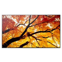 Monitor MultiSync M322 32 cale 24/7
