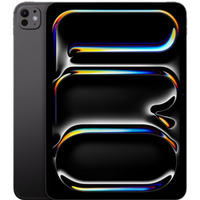 iPad Pro 11 cali Wi-Fi + Cellular 256GB - Gwiezdna czerń