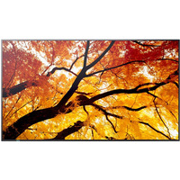 Monitor wielkoformatowy MultiSync M502 50 cali 550cd/m2 24/7