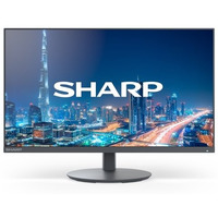 Monitor MultiSync DD-E224F 22 Czarny