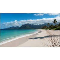 Monitor wielkoformatowy MultiSync UN553V 55 cali 500cd/m2 24/7