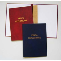 Ok�adka praca dyplomow.339-005 WARTA