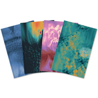 Kalendarz Oxford harmony 2026 10x15cm WTV mix 400204135