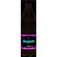 Woda MUSZYNIANKA 0.6l niskonasycona CO2 zgrzewka 8 szt. (zielona) KAUCJA