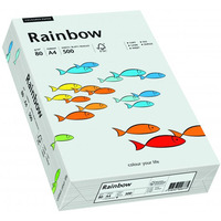 Papier xero kolorowy RAINBOW jasnoszary R93 88042783