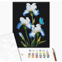 Malowanie po numerach BRUSHME, 40x50 cm, irysy, 1 szt., w pude�ku