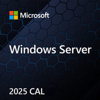 OEM Win Svr CAL 2025 User PL 1Clt EP2-25268