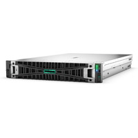 Serwer DL380 G12 6505P 12LFF P89962-425