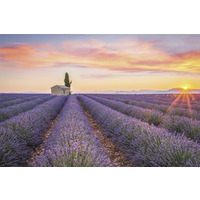 Kalendarz trójdzielny(H)2024 Michalczyk i Prokop T-106T-06