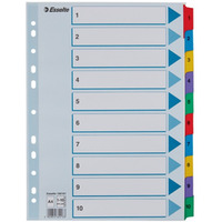 Przekadki kartonowe MYLAR A4 1-10 100161 biae ESSELTE