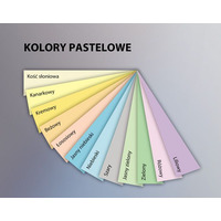 Papier xero A4 80g ososiowy xem408008 EMERSON
