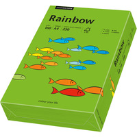 Papier xero A4/160g c.zielony R78 RAINBOW 88042681/