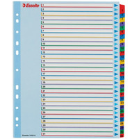 Przekadki kartonowe MYLAR A4 MAXI 1-31 ESSELTE 100210