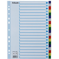 Przekadki plastikowe z PP A4 ESSELTE 20 kart 15263