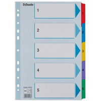 Przekadki kartonowe MYLAR A4 1-5 100160 biae ESSELTE