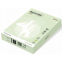 Papier A4 160g j.ziele�.250a GN27 MAESTRO COLOR pastel