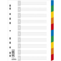 Przekadki DONAU, PP, A4, 225x297mm, 10+1 kart, mix kolorw