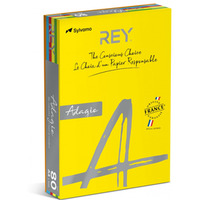 Papier ksero REY ADAGIO, A4, 80gsm, mix kolorw intens, *RYADA080X906 R200, 5x100 ark